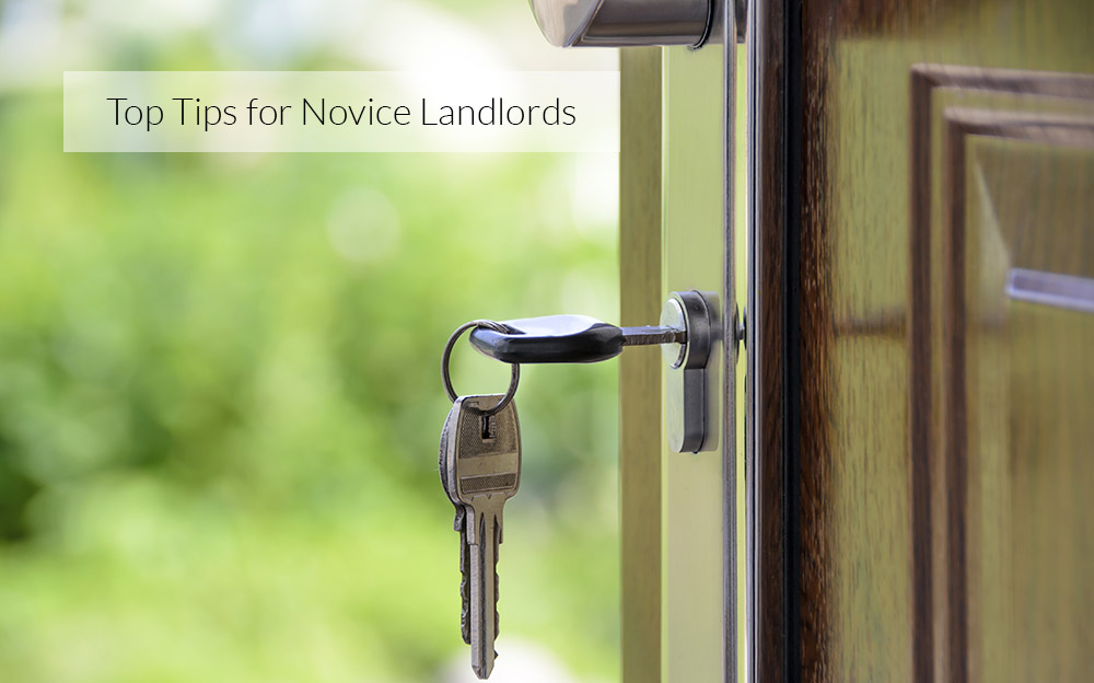 Top Tips for Novice Landlords